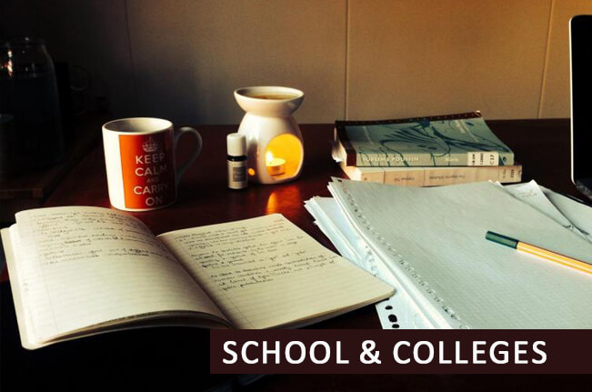 School and Colleges